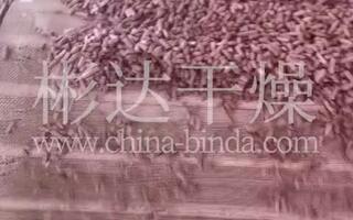 带式干燥机