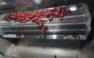 红枣清洗烘干生产线视频